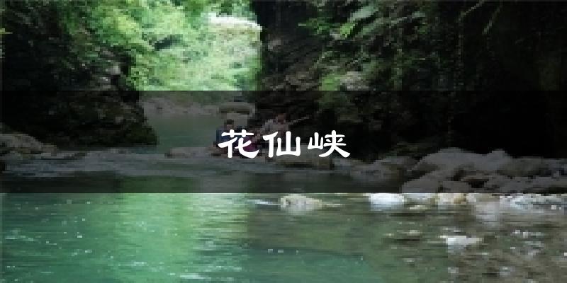 天津花仙峡天气预报未来一周