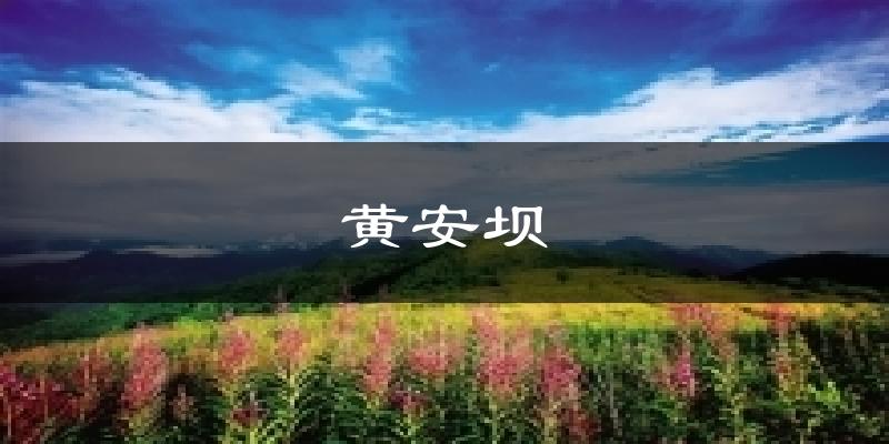 黄安坝今日天气
