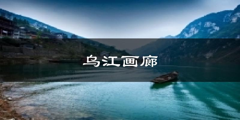 乌江画廊今日天气