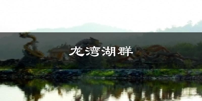 龙湾湖群今日天气