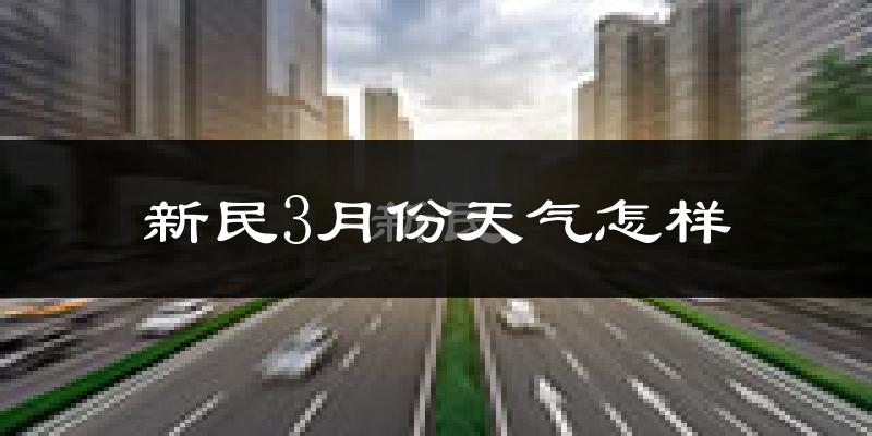 新民市3月份天气如何?冷吗?