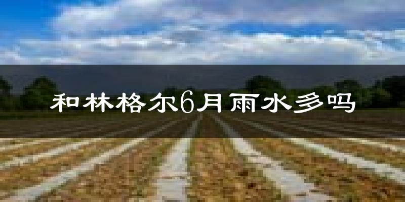 和林格尔6月雨水多吗?