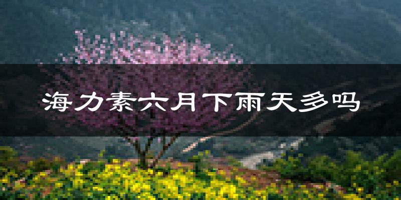 海力素六月下雨天多吗?海力素6月份降雨量多少?