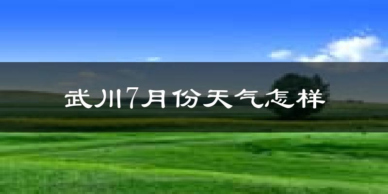 武川7月份天气怎样?武川七月热不热?