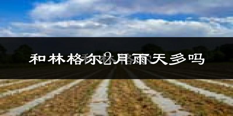 和林格尔2月雨天多吗?