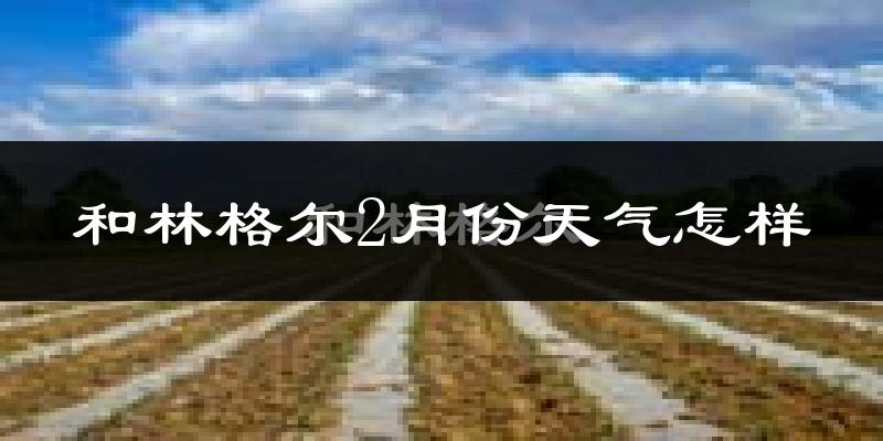 和林格尔县2月份天气如何?很冷吗?