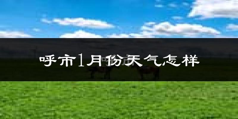 呼市1月份天气怎样?呼市一月冷不冷?