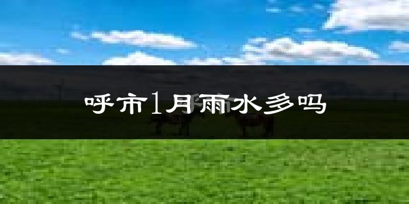 呼市1月雨水多吗?