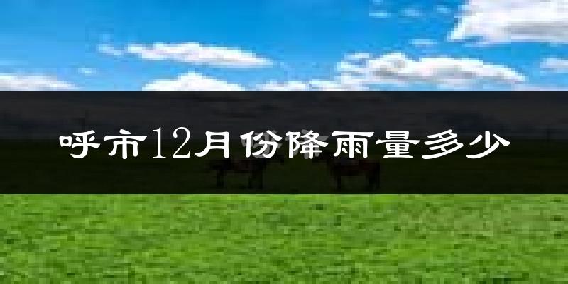 呼市12月份降雨量多少?呼市十二月下雨多吗?