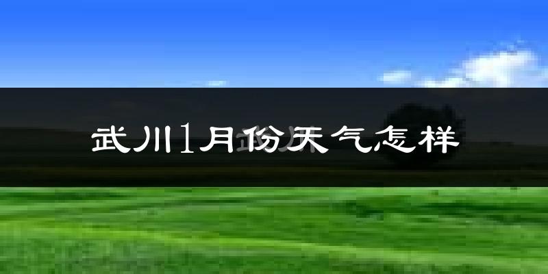 武川县1月份天气如何?很冷吗?