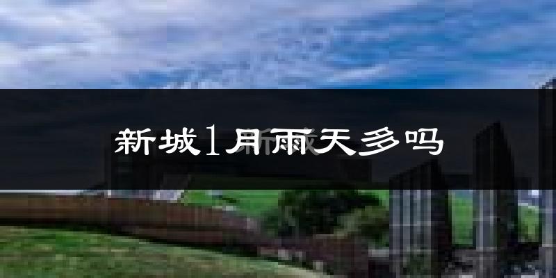 新城1月雨天多吗?