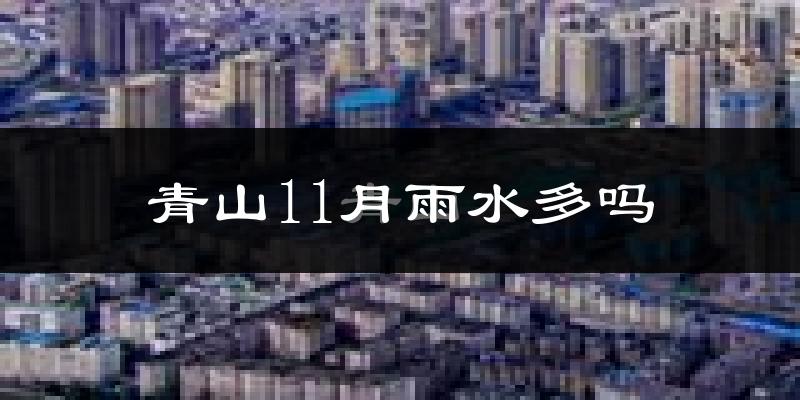 青山11月雨水多吗?