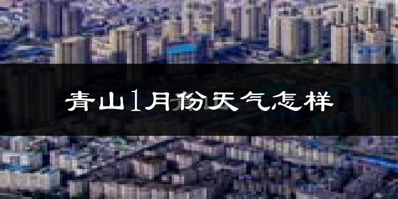 青山1月份天气怎样?青山一月冷不冷?