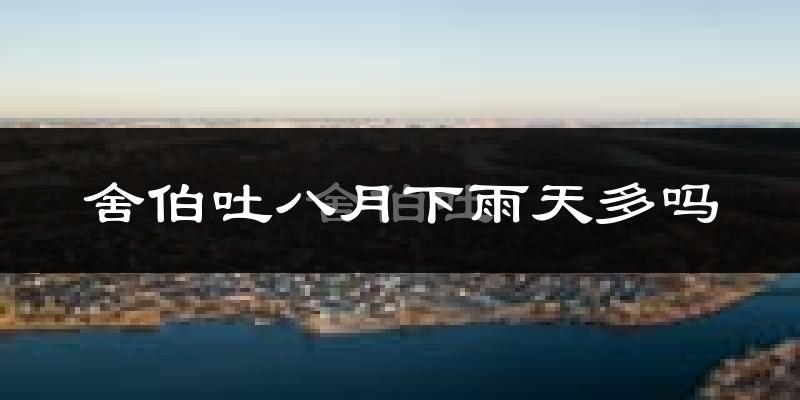 舍伯吐八月下雨天多吗?舍伯吐8月份降雨量多少?