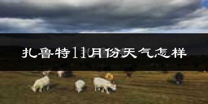 扎鲁特11月份天气怎样?扎鲁特十一月冷吗?
