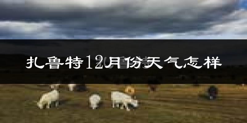 扎鲁特12月份天气怎样?扎鲁特十二月冷吗?