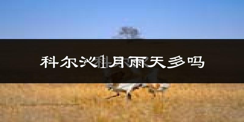 科尔沁1月雨天多吗?