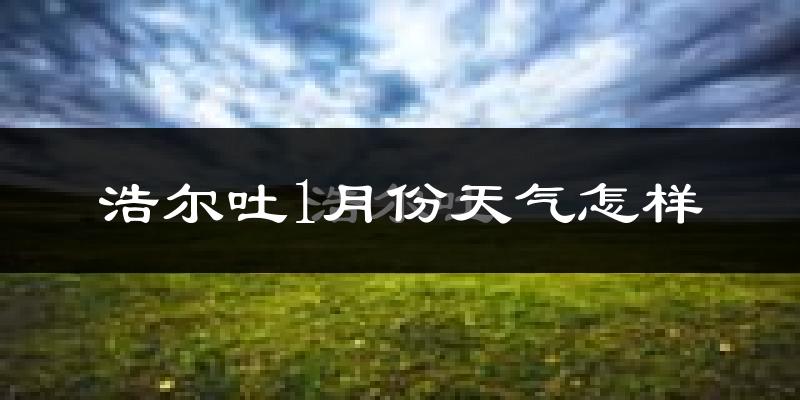 浩尔吐乡1月份天气如何?很冷吗?