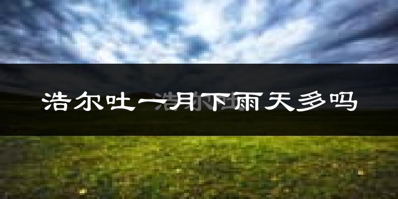 浩尔吐一月下雨天多吗?浩尔吐1月份降雨量多少?