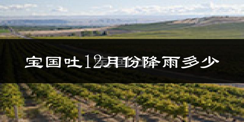 宝国吐12月份降雨多少?