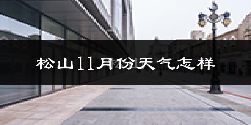 松山11月份天气怎样?松山十一月冷吗?