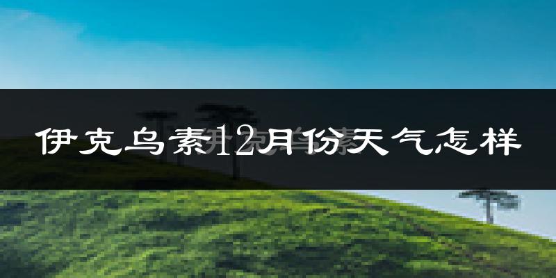 伊克乌素12月份天气怎样?伊克乌素十二月冷吗?