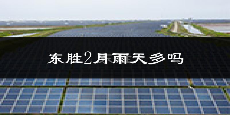 东胜2月雨天多吗?