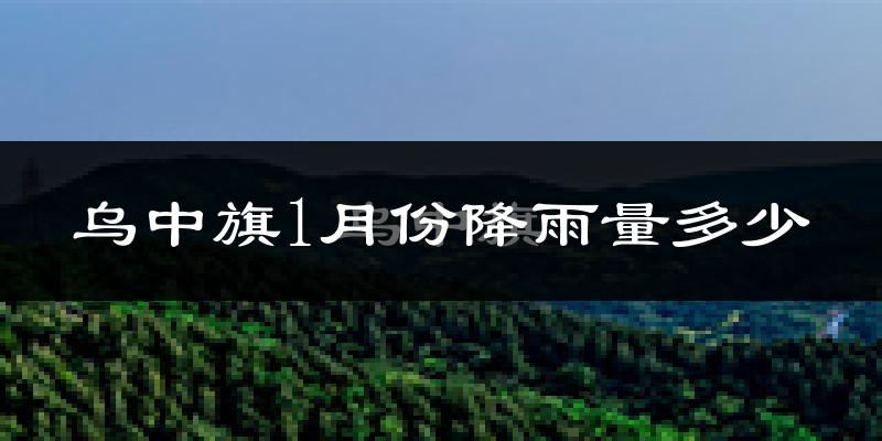 乌中旗1月份降雨量多少?乌中旗一月下雨多吗?