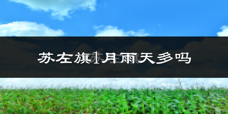 苏左旗1月雨天多吗?