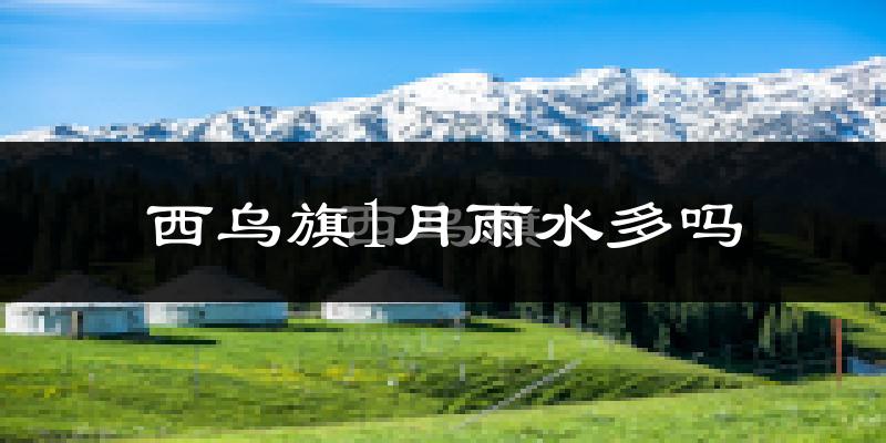西乌旗1月雨水多吗?