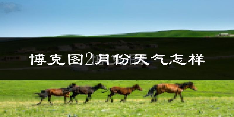 博克图2月份天气如何?很冷吗?