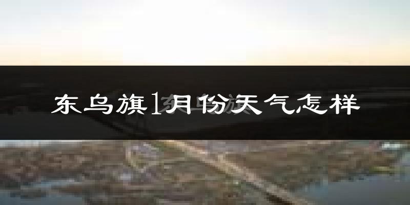 东乌珠穆沁旗1月份天气如何?很冷吗?