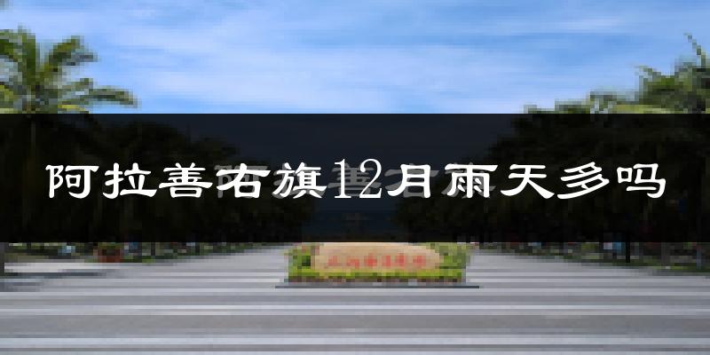 阿拉善右旗12月雨天多吗?