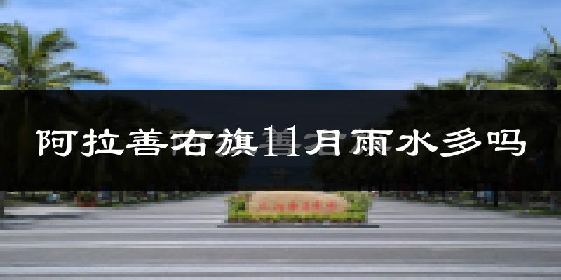 阿拉善右旗11月雨水多吗?