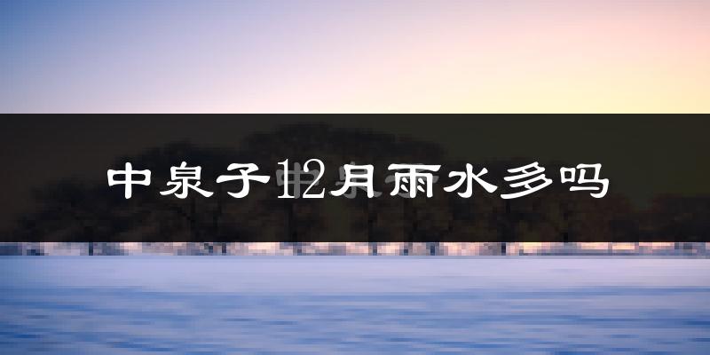 中泉子12月雨水多吗?