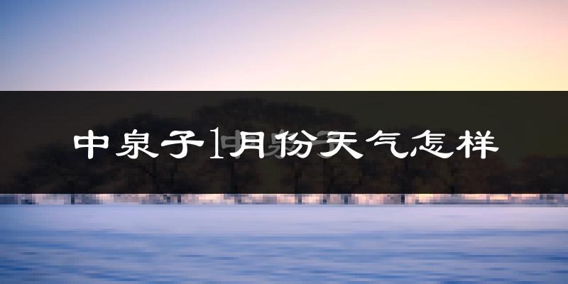 中泉子1月份天气如何?很冷吗?