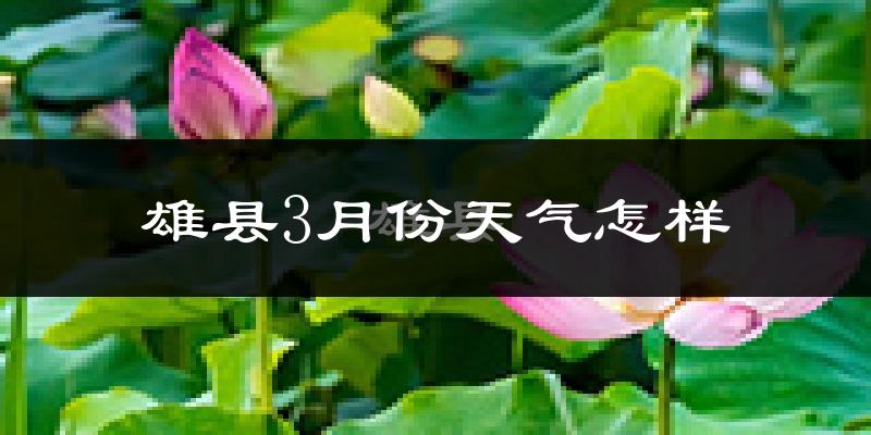 雄县3月份天气如何?冷吗?