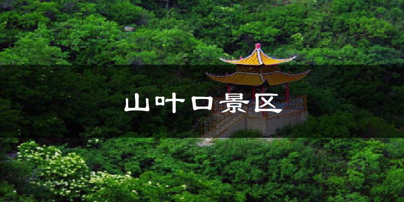 山叶口景区今日天气
