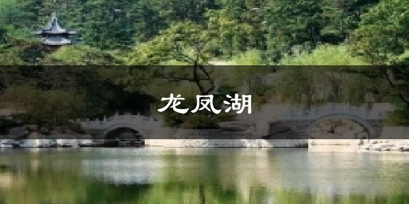 龙凤湖今日天气