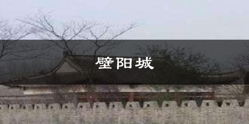 壁阳城今日天气