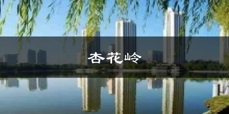 杏花岭今日天气