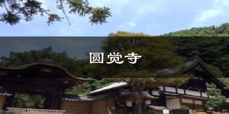 圆觉寺气温