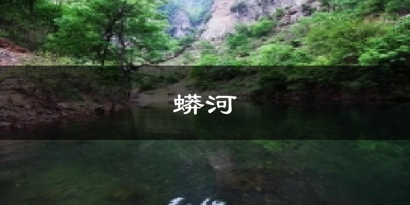 蟒河今日天气