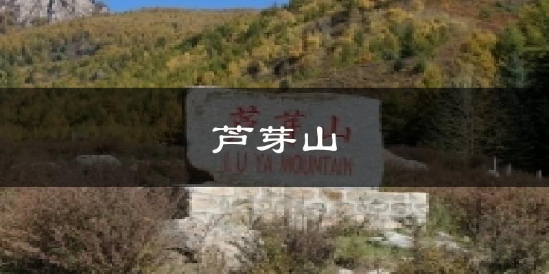 芦芽山气温