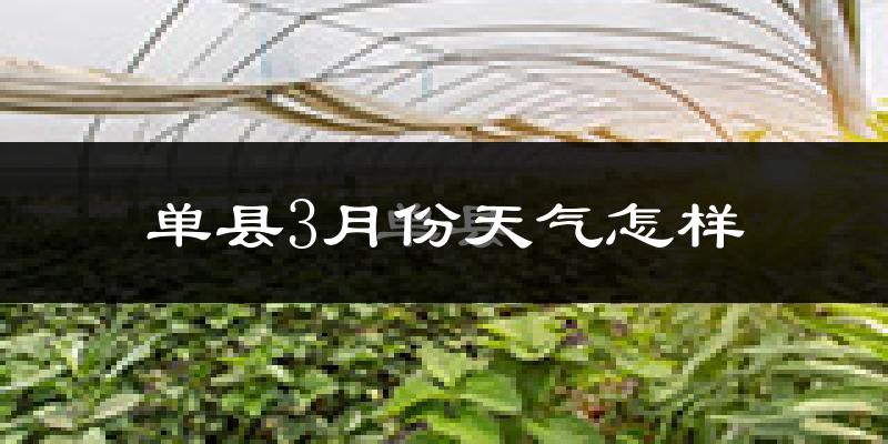 单县3月份天气如何?冷热变化大吗?