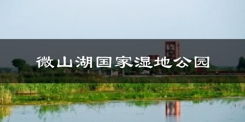 微山湖国家湿地公园今日天气
