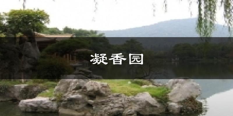 菏泽凝香园天气预报未来一周