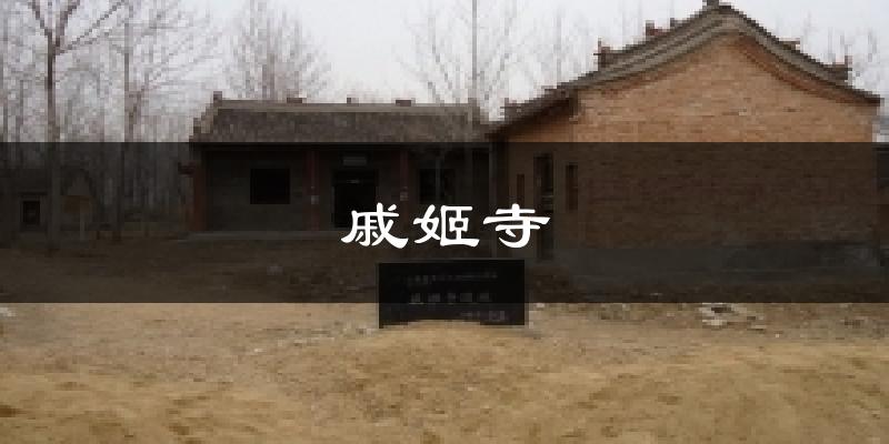 菏泽定陶戚姬寺天气预报未来一周