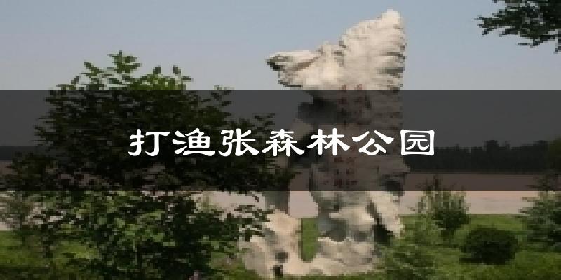 博兴打渔张森林公园天气预报未来一周