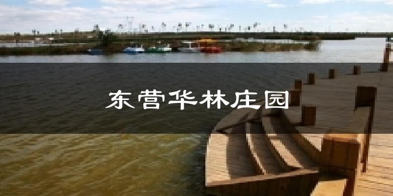 东营华林庄园今日天气